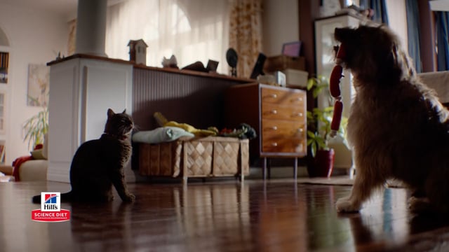 ‘A Science Diet Story’ for Hill’s